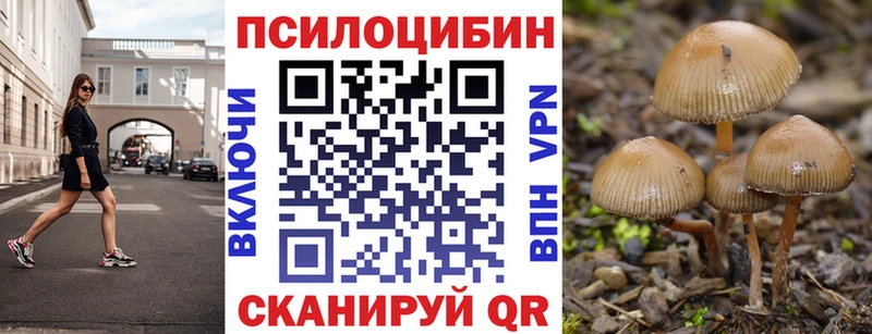 Псилоцибиновые грибы GOLDEN TEACHER  Купить закладки  Нерехта 